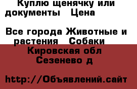 Куплю щенячку или документы › Цена ­ 3 000 - Все города Животные и растения » Собаки   . Кировская обл.,Сезенево д.